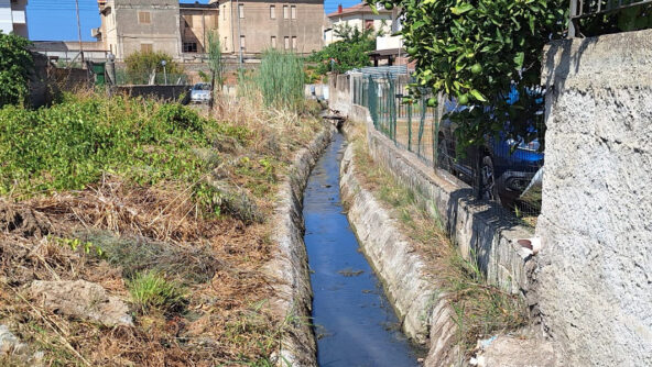 2024_08_13_Lavoro di pulizia fosso Lenzi_Gizzeria