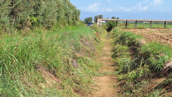 2024_09_06_Pulizia fosso loc. Canneto_Curinga (1)